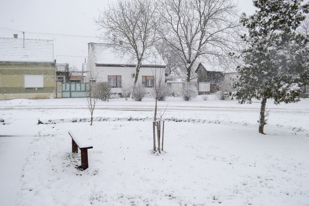 Fotografija čitatelja, Čepin, 6.2.2015.