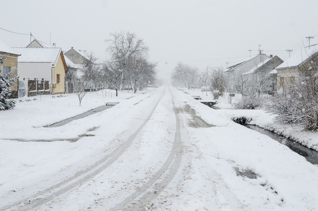 Fotografija čitatelja, Čepin, 6.2.2015.