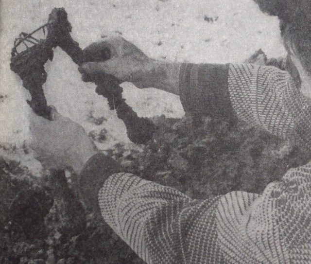 Foto: Roman Leljak. Košnica, prosinac 1989. U zemlji, samo 20 cm ispod njezine površine, kosti su još uvijek bile svezane. Fotografija iz knjige Huda jama, str. 113.