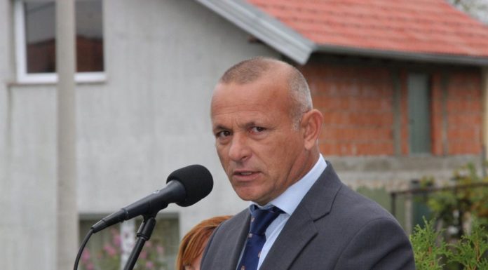 tomislav josić