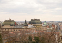 veliki i tvrdi kurac
