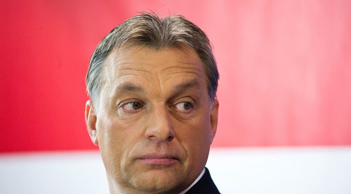 viktor orban