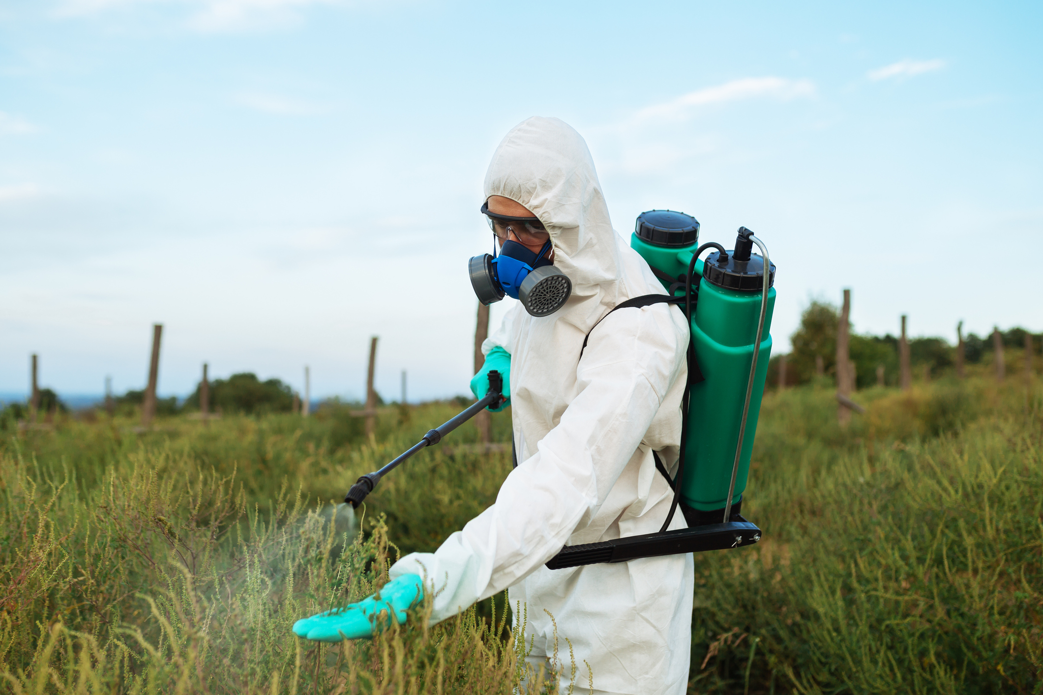 Рост пестицид. Опрыскиватель от клещей для участка. Пестициды от насекомых. Дезинсекция от клещей. Ядохимикаты для борьбы с насекомыми.