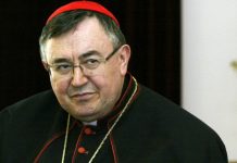 Kardinal Puljić pisao institucijama i Vatikanu kako mu je život ugrožen