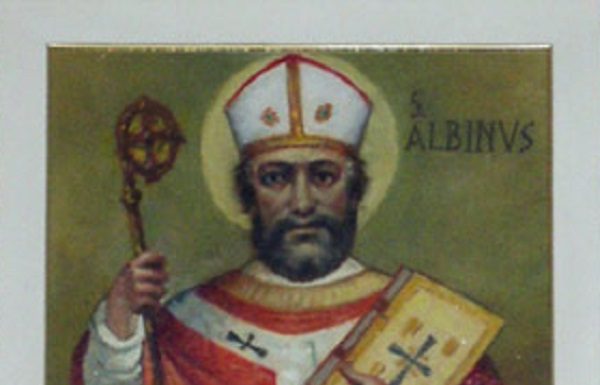 albin