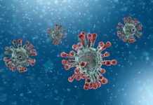 Što kažu američki stručnjaci o porijeklu koronavirusa: Je li pobjegao iz kineskog laboratorija?