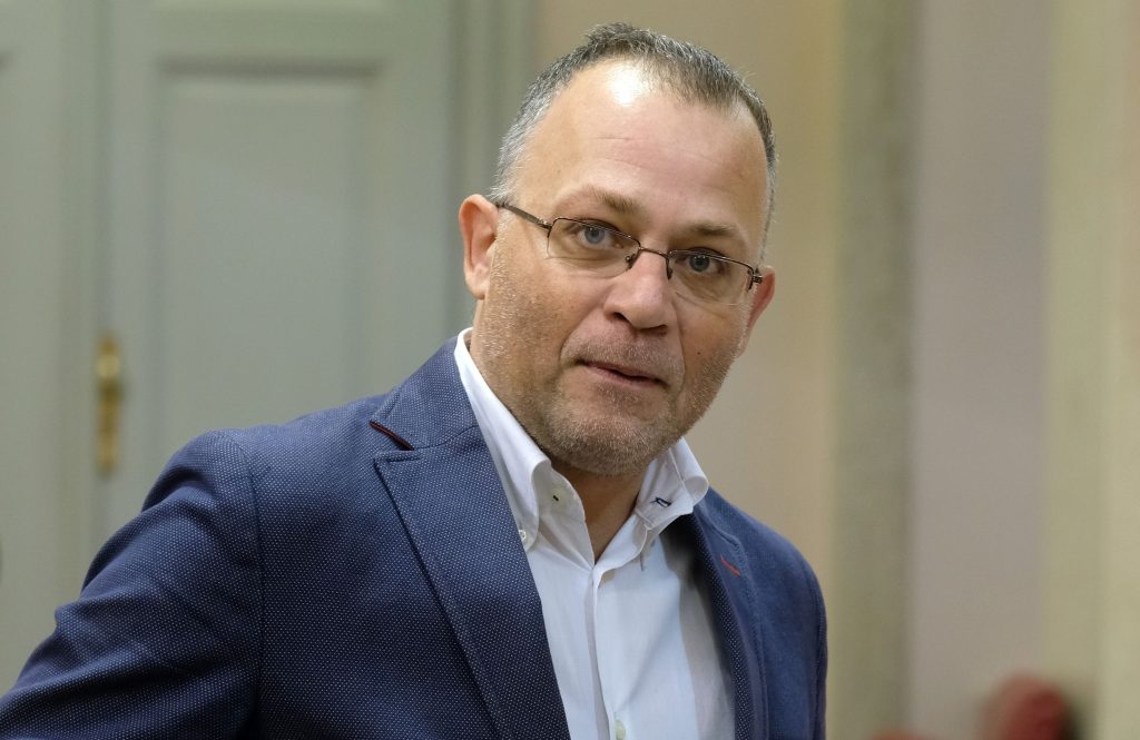 zlatko hasanbegović