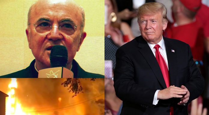Vigano Trump