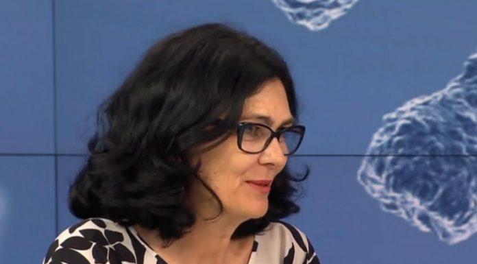 andreja ambriović ristov