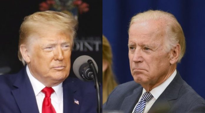 trump biden