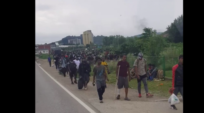 migranti