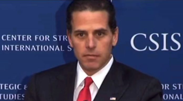 Hunter Biden Bidena