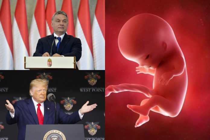 Trump Orban nerođeni život