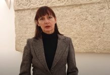 Vučemilović (DP) za Narod.hr: Dolazak radnika iz trećih zemalja snizit će cijenu rada