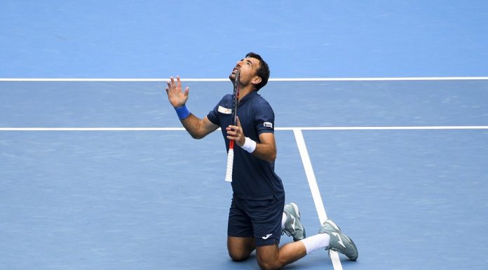 dodig