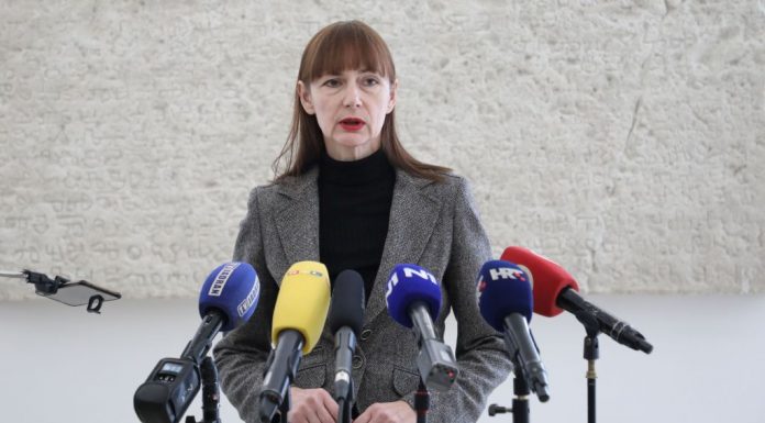 Vesna Vučemilović