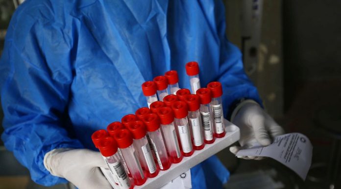 koronavirus