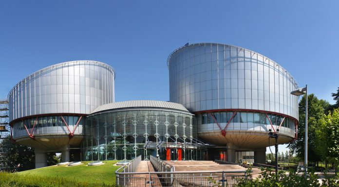 European Court of Human Rights ESLJP