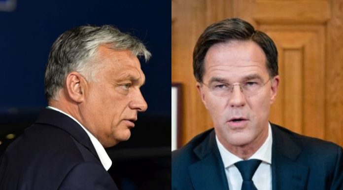 orban premijer rutte