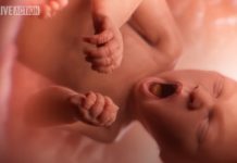 Pogledajte najrealniji video nerođenog djeteta u majčinoj utrobi ikad napravljen!