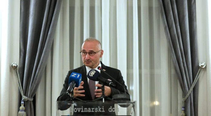 Goran Grlić Radman