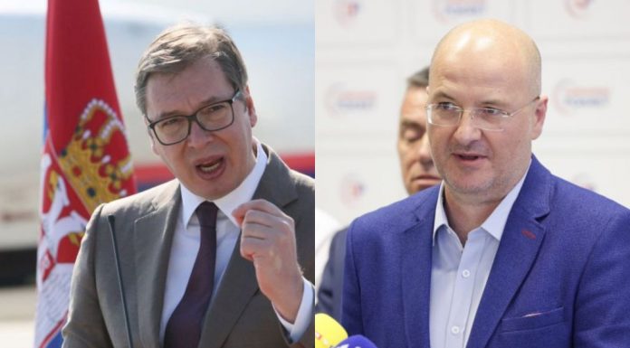 mario radić domovinski pokret aleksandar vučić