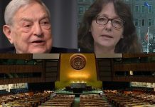 Izvješće o utjecaju Sorosa na UN: Među izvjestiteljima navedena i Dubravka Šimonović