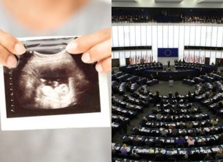 dijete europski parlament eu