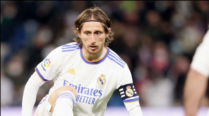 modrić marca