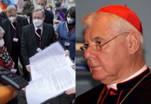 Kardinal Müller o krivovjerju njemačkog sinodalizma: Ne smije se pokoravati heretičkim biskupima