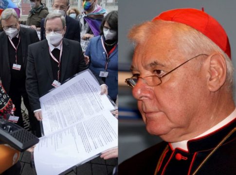 kardinal Müller sinodalni put