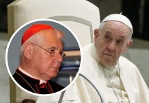 Kardinal Müller: Sinoda pape Franje je neprijateljsko preuzimanje Crkve; to može biti kraj