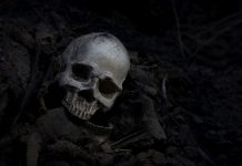 Užas na Kočevskom Rogu: U tijeku iskapanje 3000 kostura žrtava partizanskih pokolja