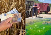Stranci će uskoro moći kupovati hrvatske njive i pašnjake: Hoće li cijena hektara s najniže u EU-u - otići u nebo?