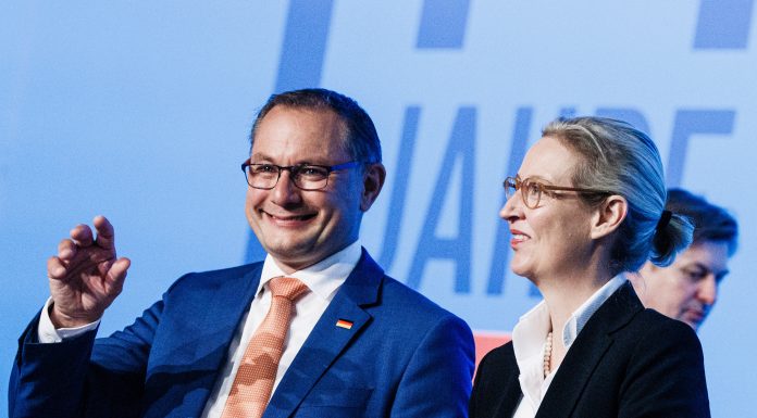 AfD, birači