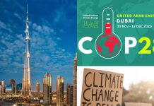 Globalni summit o klimi COP28; što se iza toga krije i koji su naglasci?