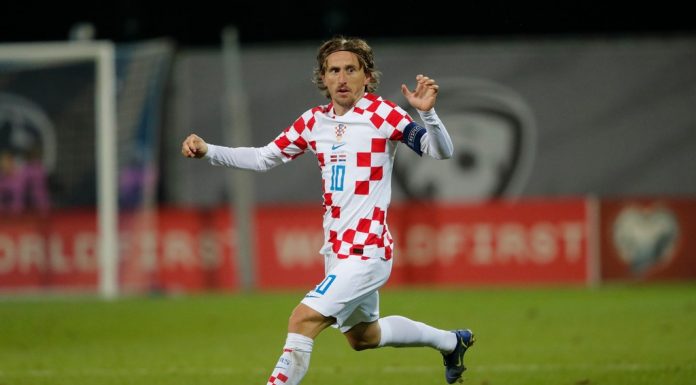 novinar modrić