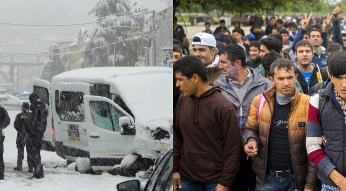 migranti