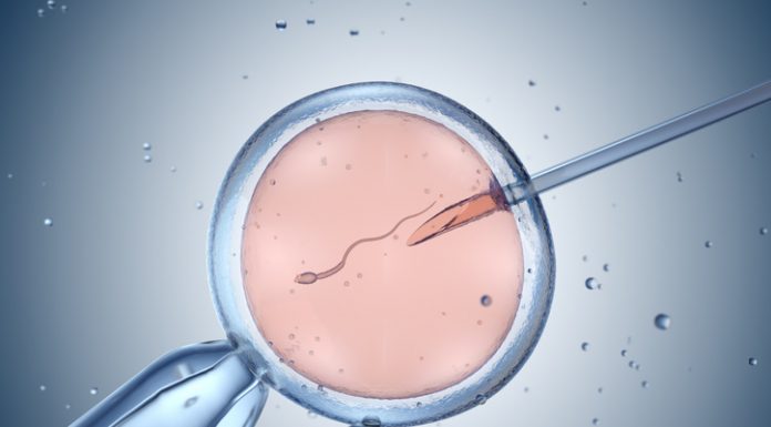 in vitro