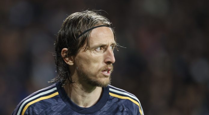 modrić