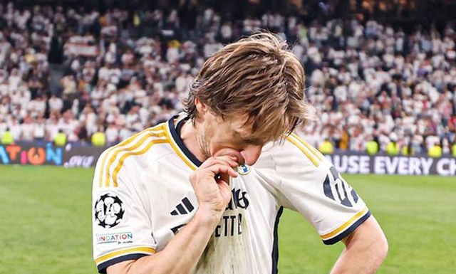 modrić