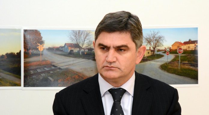 šarić