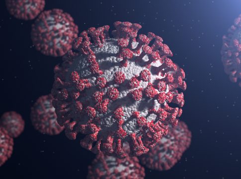 virus