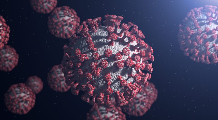 virus