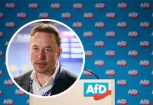 AfD