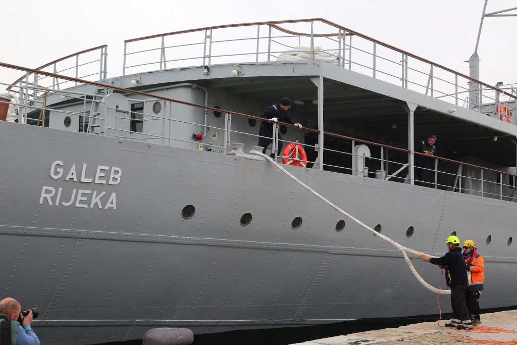 galeb