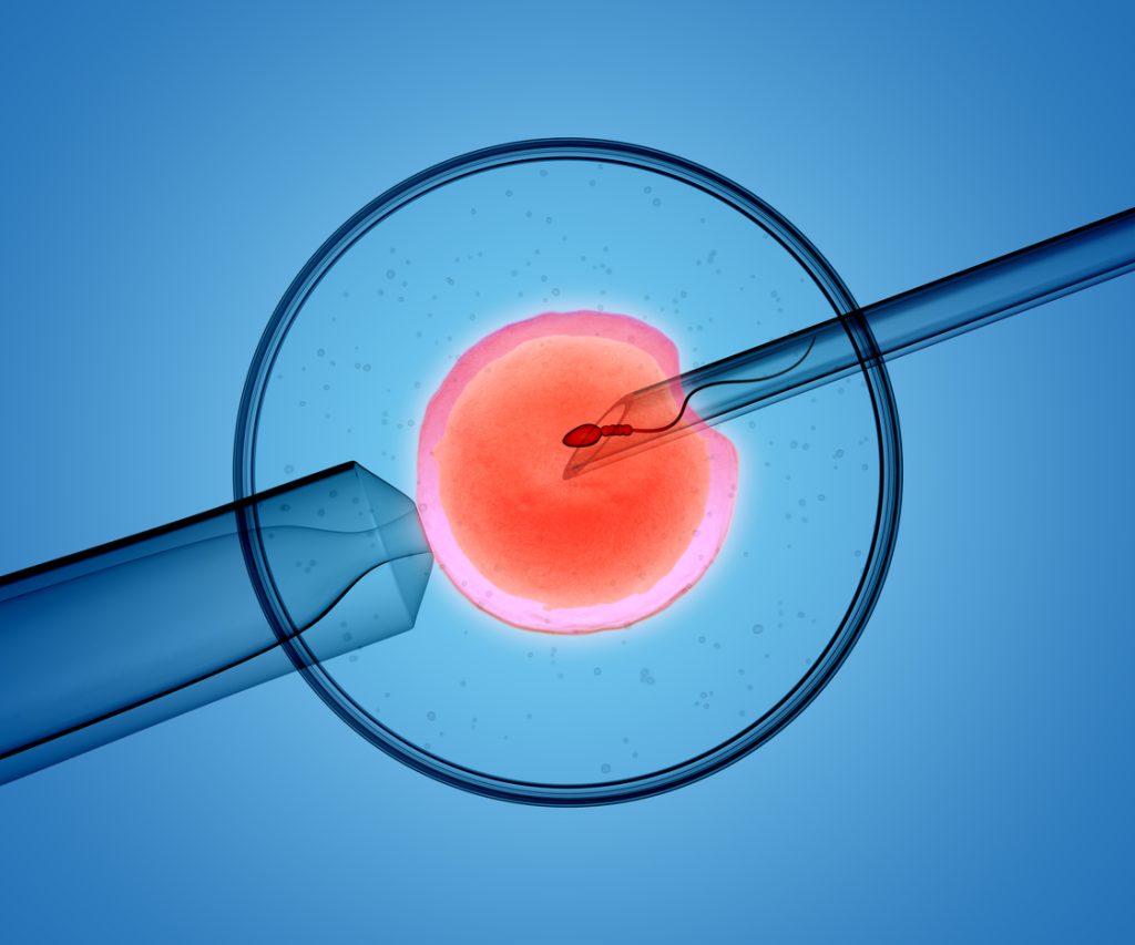 in vitro
