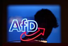 Istraživanje u Njemačkoj: Potpora AfD-u na rekordnoj razini