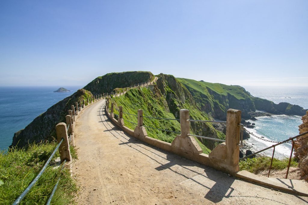 Vrček